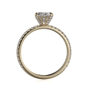 MICHAEL M Engagement Rings Crown R753-2