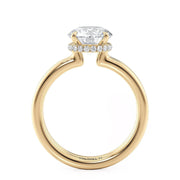 MICHAEL M Engagement Rings Crown R819-2