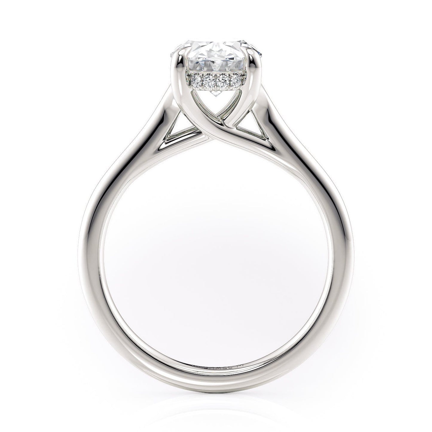 MICHAEL M Engagement Rings Crown R828-2