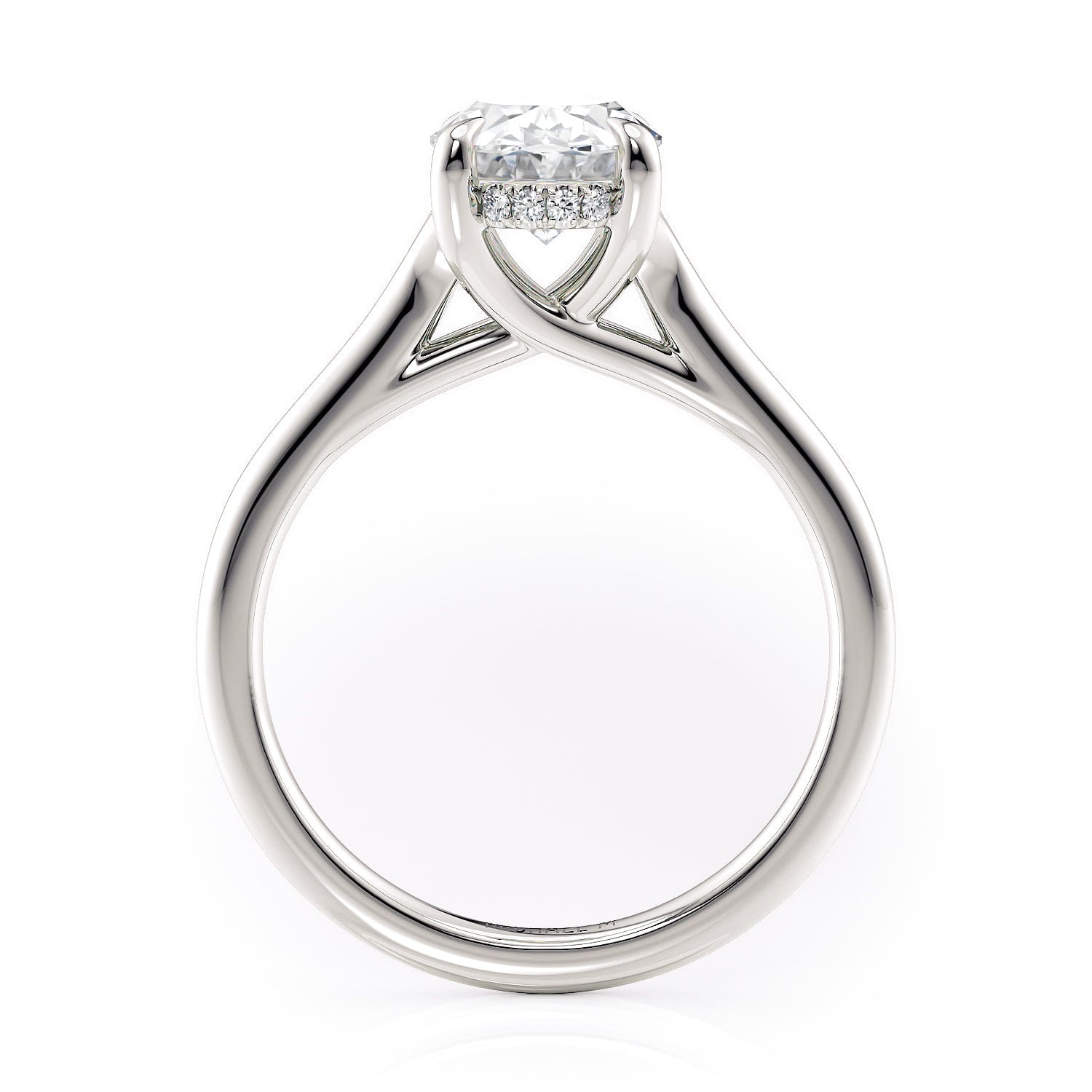 MICHAEL M Engagement Rings Crown R828-2