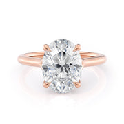 MICHAEL M Engagement Rings Crown R828-3
